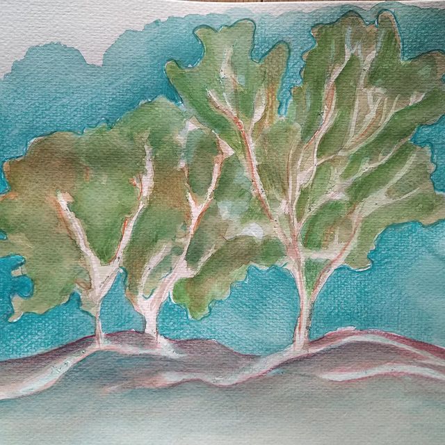 Photo by Anne Ettori on June 16, 2022. May be art of tree and outdoors.