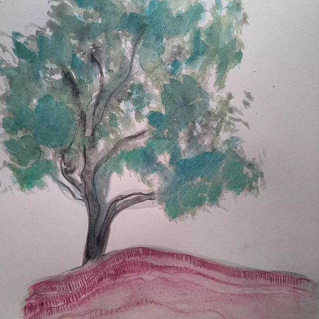 Photo by Anne Ettori on June 16, 2022. May be art of tree and outdoors.