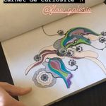 Photo de profil de carnets 📓